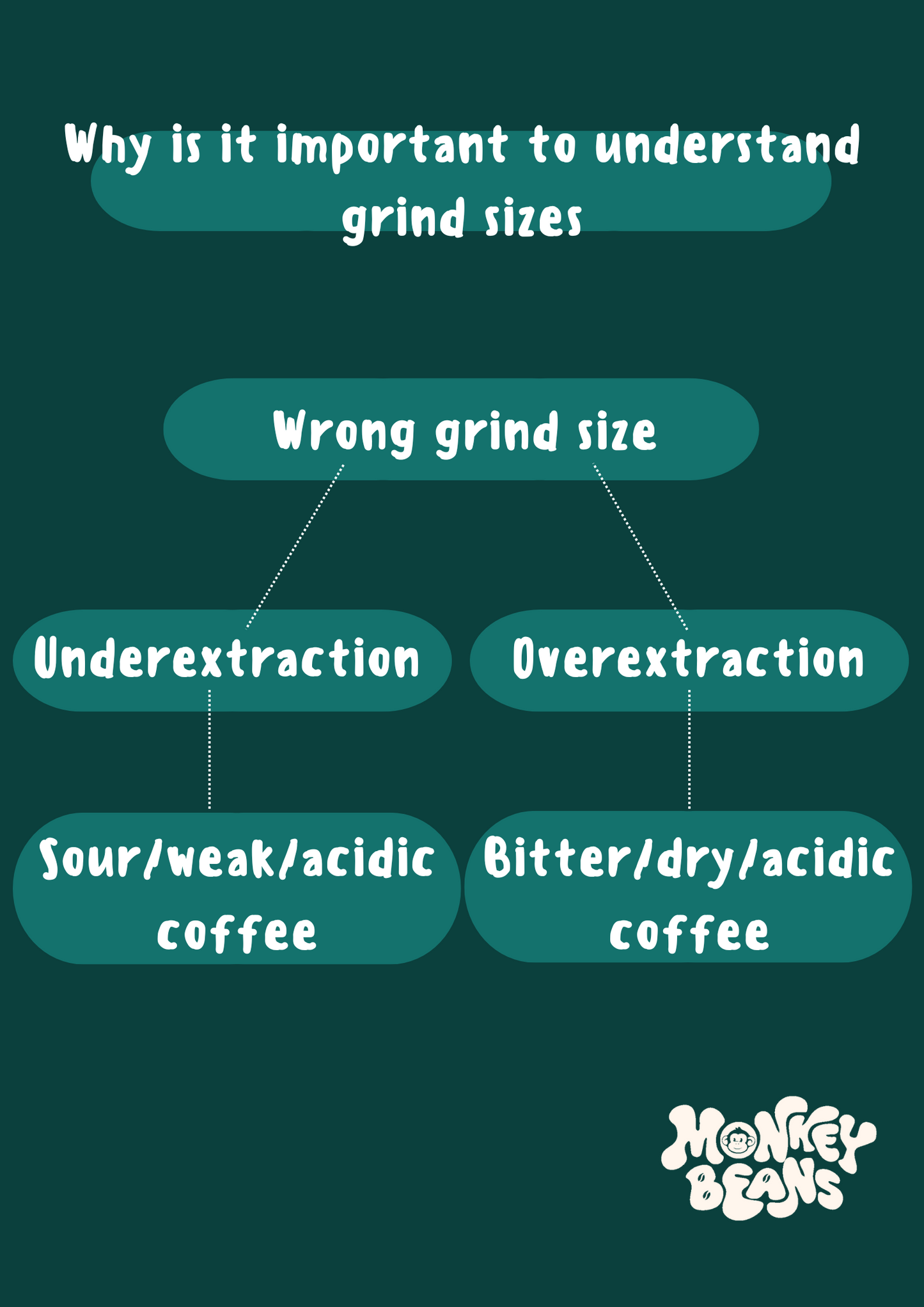 Café Selva Blend Coffee