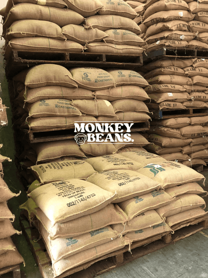Café Selva Blend Coffee